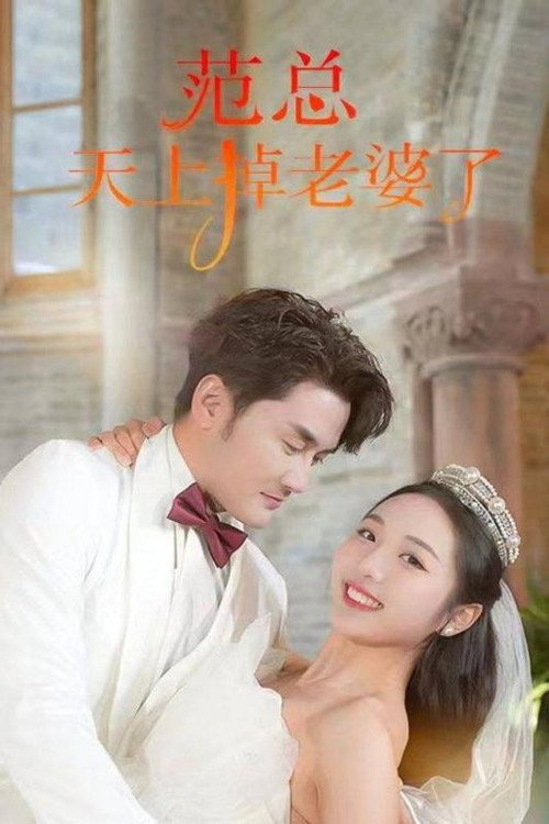 范总天上掉老婆了 封面