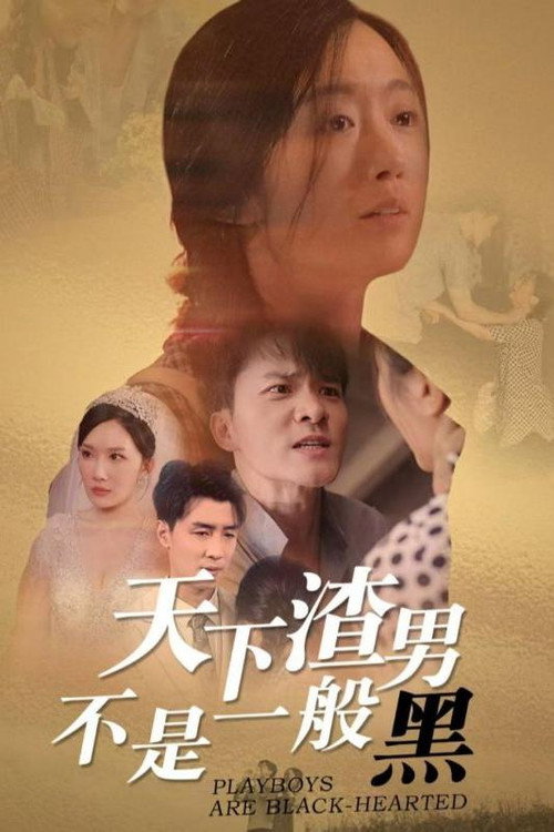 天下渣男不是一般黑 封面