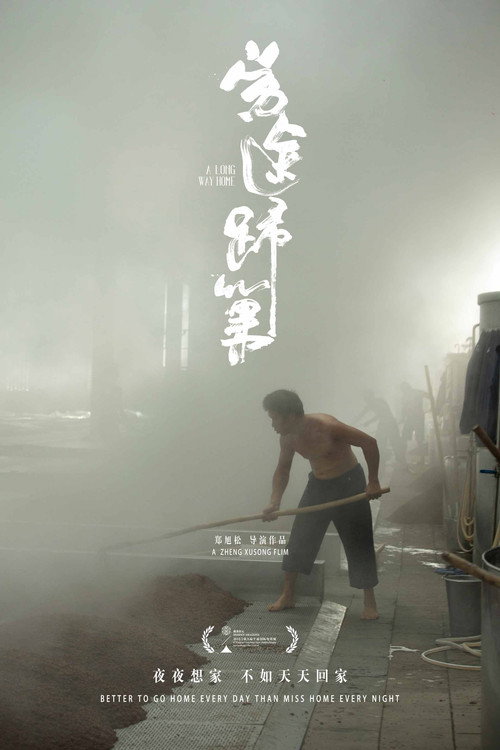 劳途归巢 封面