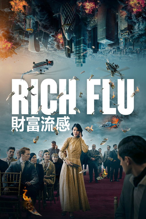 财富流感 封面