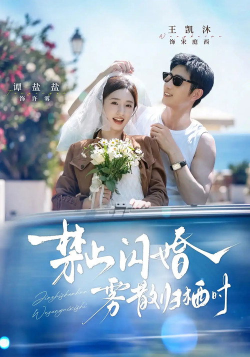 禁止闪婚,雾散归栖时 封面