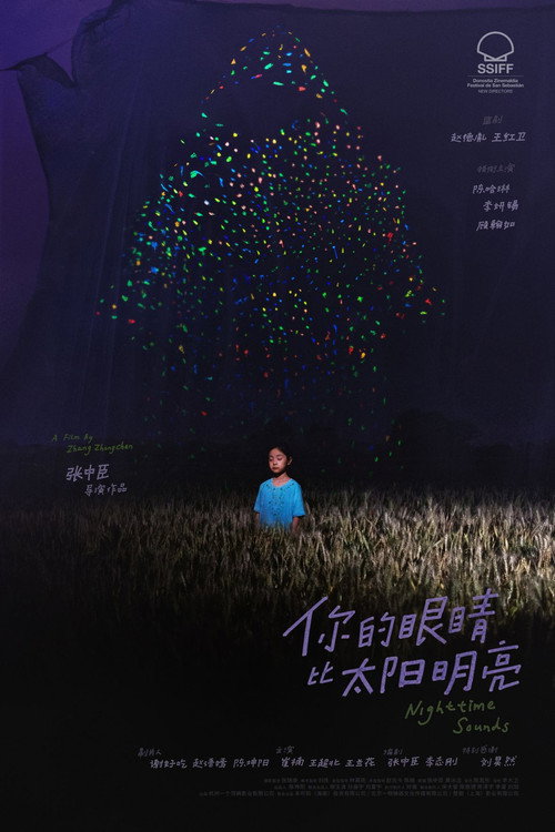 你的眼睛比太阳明亮 封面