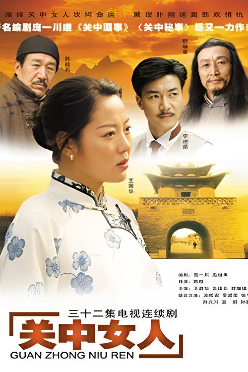 关中女人 封面