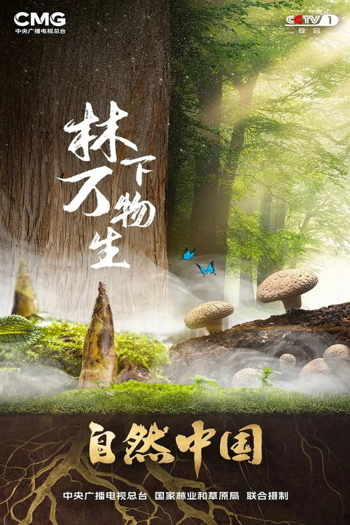林下万物生 封面
