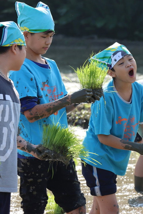 People in the Field 封面