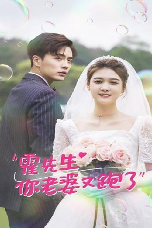 霍先生你老婆又跑了 封面
