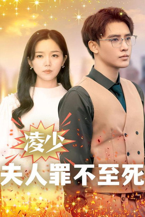 凌少，夫人罪不至死 封面