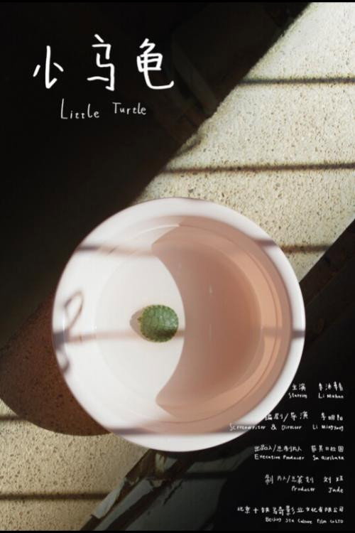Little Turtle 封面