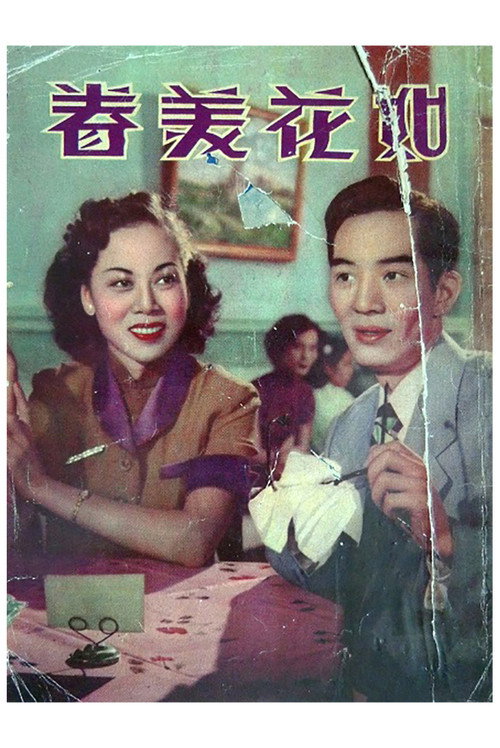 如花美眷 封面