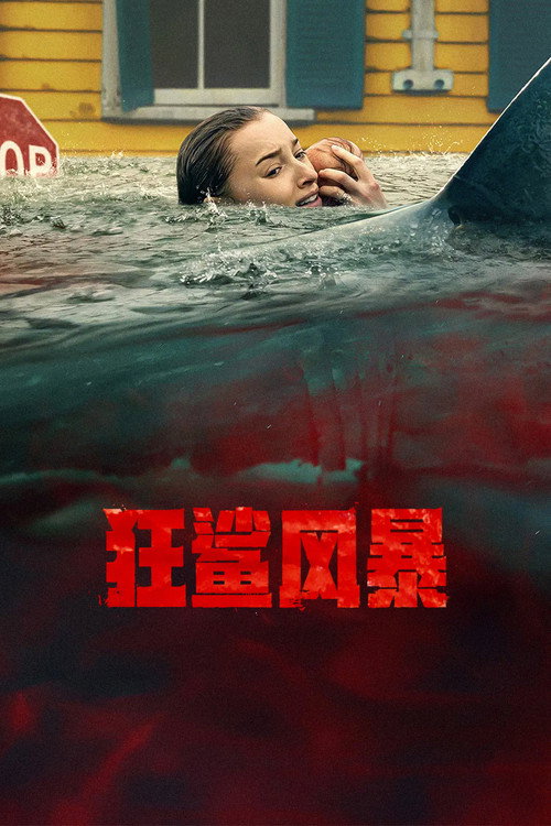狂鲨风暴 封面