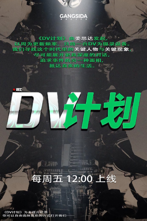 DV计划 封面