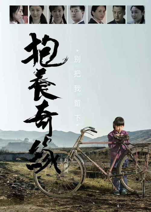 抱养奇缘 封面