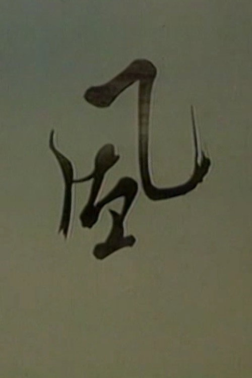 风 封面