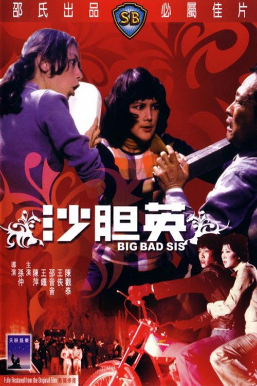 沙胆英 封面