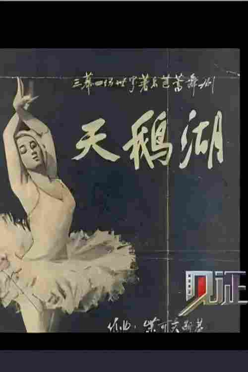 见证·影像志：芭蕾 封面