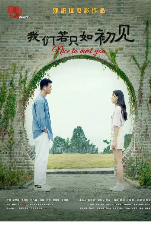 我们若只如初见 封面