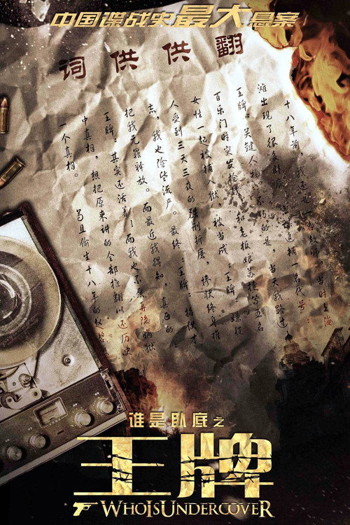 谁是卧底之王牌 封面