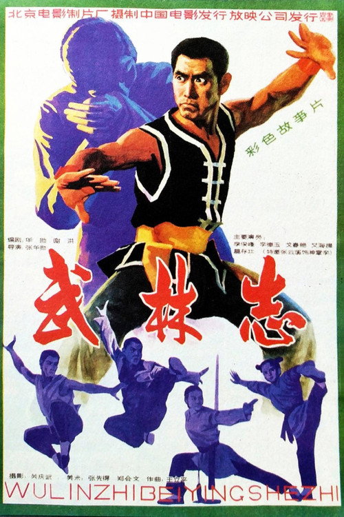武林志 封面