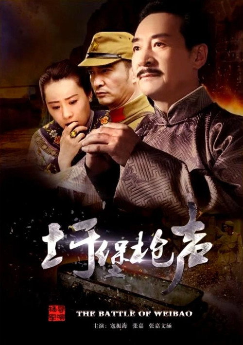 圩堡枪声 封面