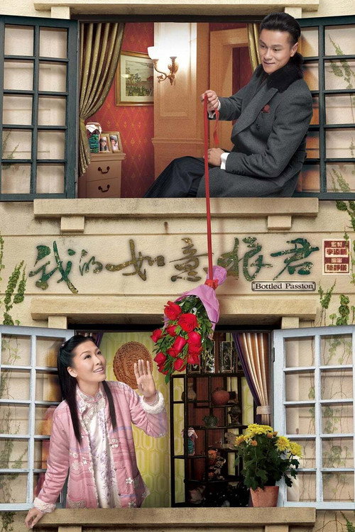 我的如意狼君 封面