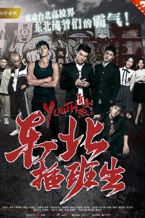 东北插班生 封面