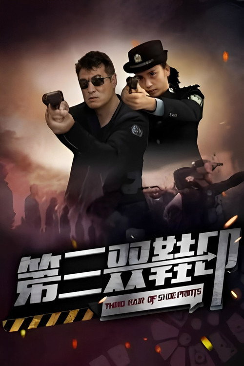 第三双鞋印 封面