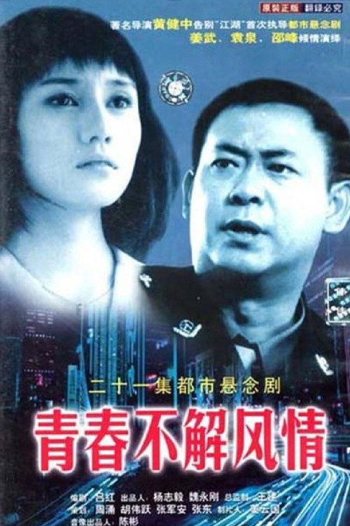 青春不解风情 封面