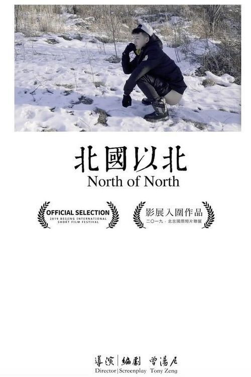 北國以北 封面