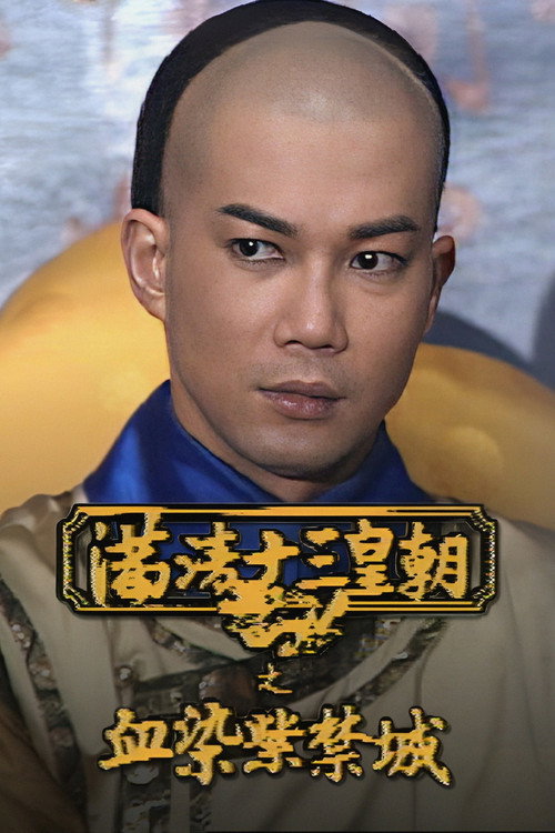 满清十三皇朝之血染紫禁城 封面