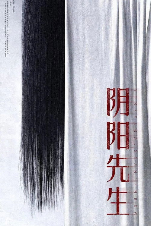 阴阳先生 封面