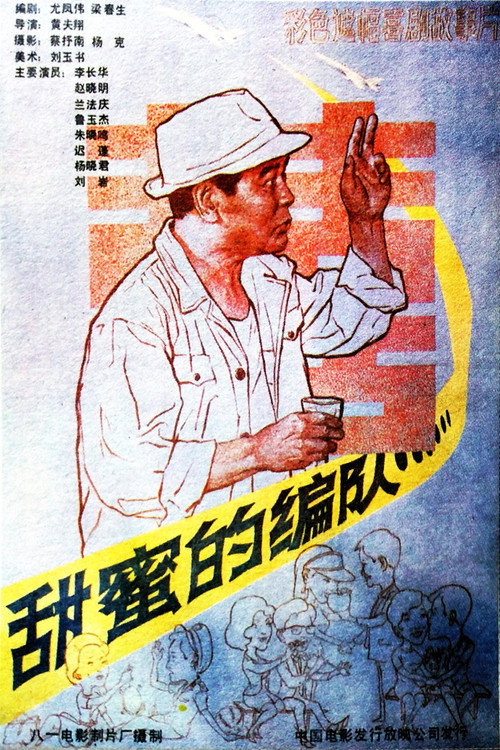甜蜜的编队 封面
