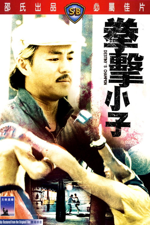 拳击小子 封面