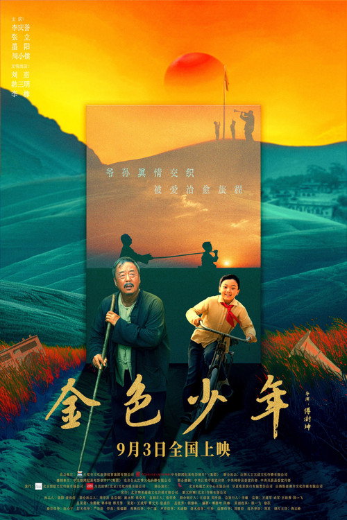金色少年 封面