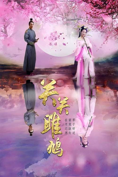 关关雎鸠 封面