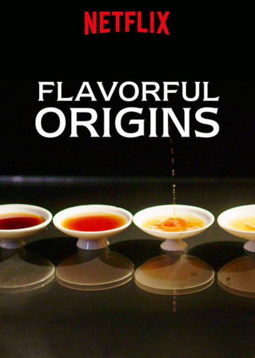 Flavorful Origins 封面