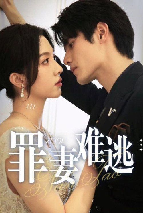 罪妻难逃 封面