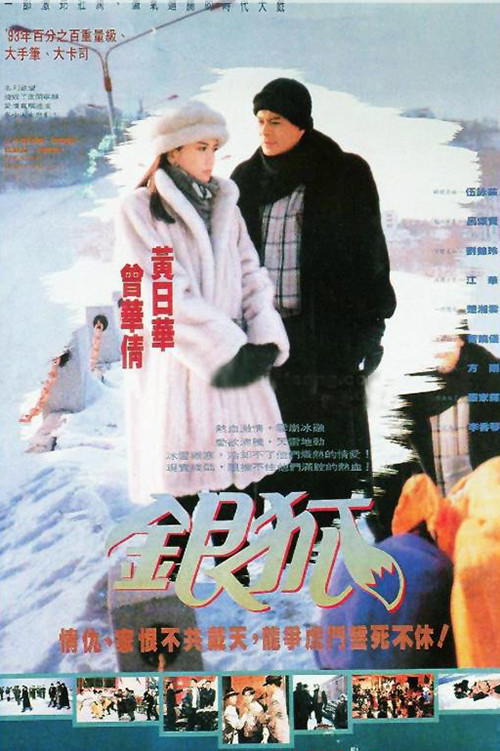 银狐 封面