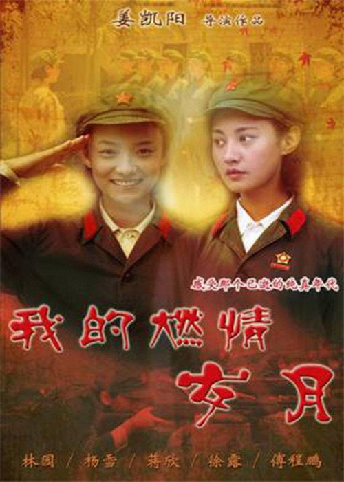 我的燃情岁月 封面