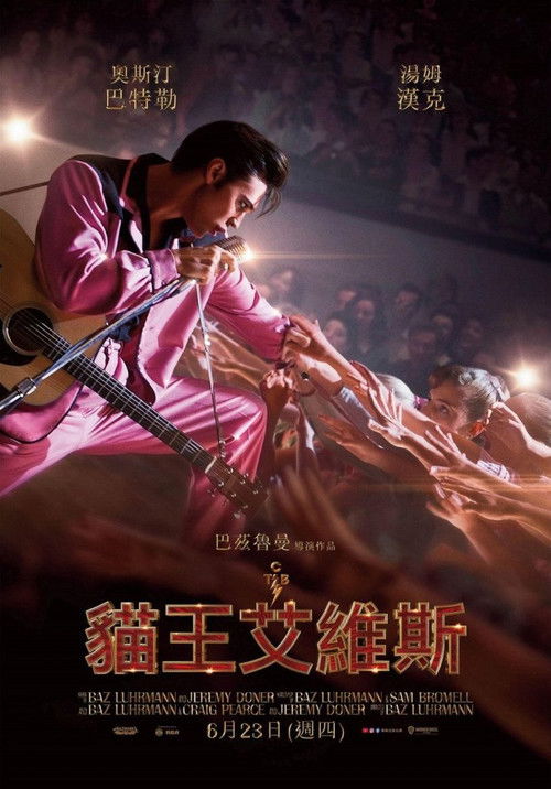 猫王 封面