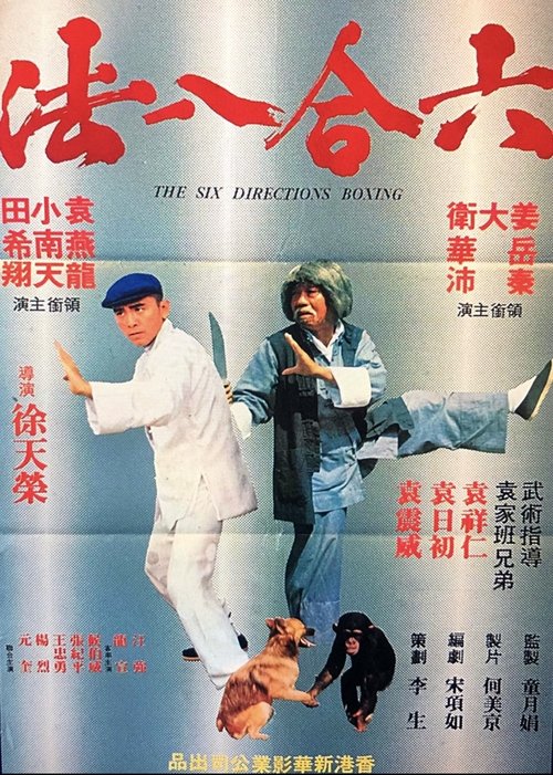 六合八法 封面