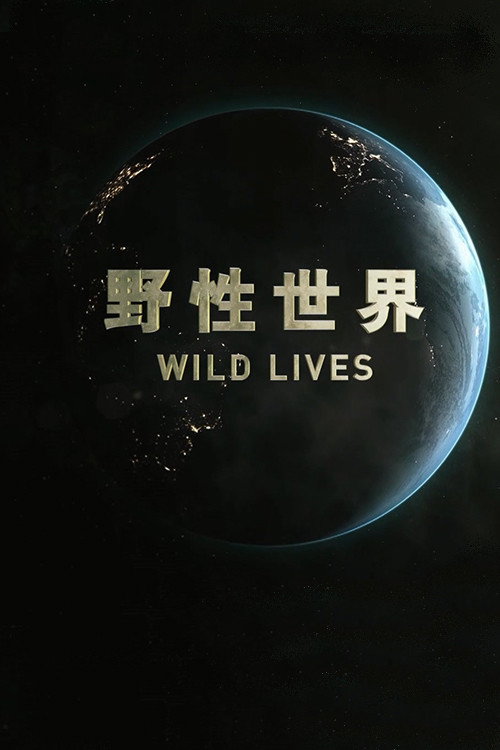 野性世界 封面