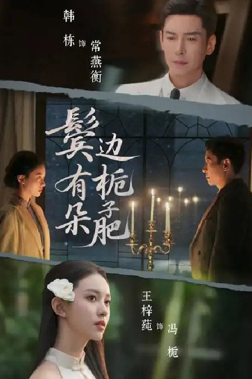 鬓边有朵栀子肥 封面