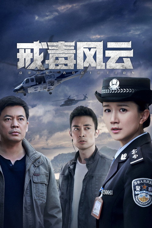 戒毒风云 封面