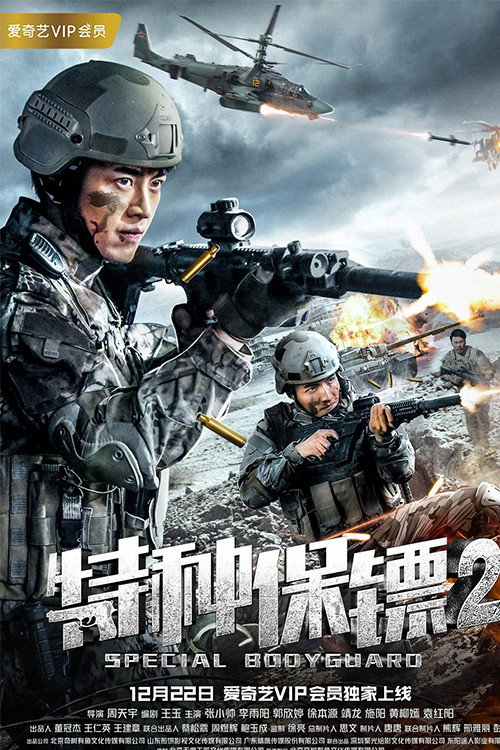 特种保镖2 封面