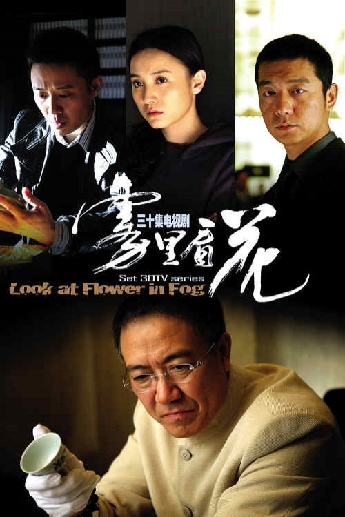 雾里看花 封面