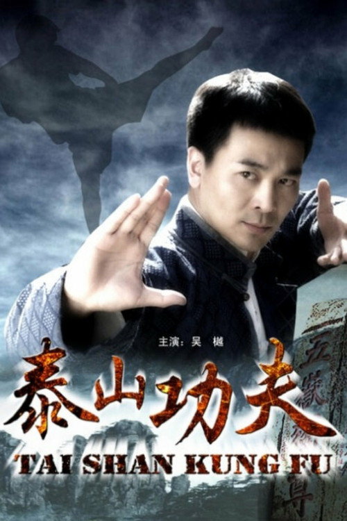 泰山功夫 封面