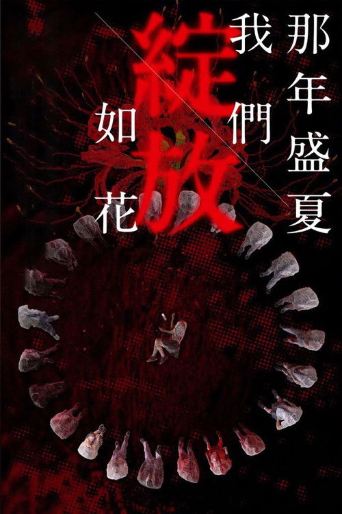 那年盛夏 我们绽放如花 封面