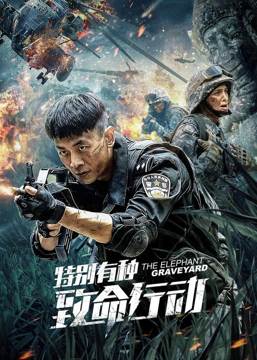特别有种：致命行动 封面