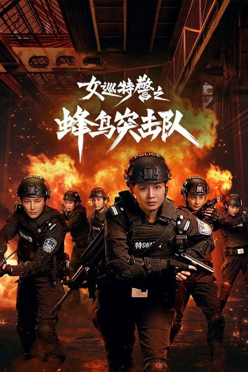 女巡特警之蜂鸟突击队 封面