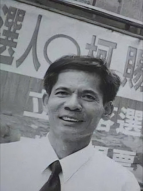 多格威斯面 封面